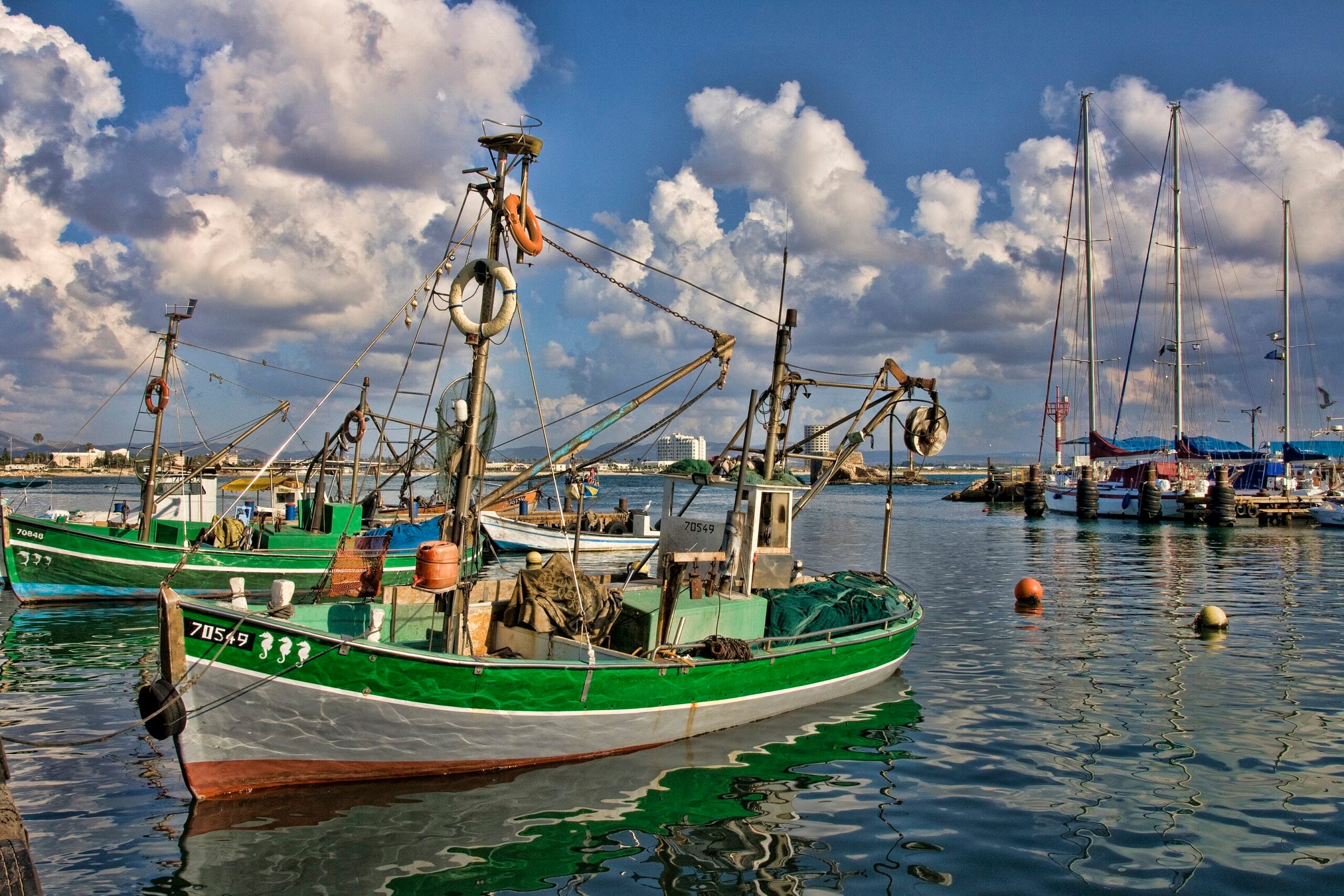 Half Day Tour of The Multicultural Carmel Coast img